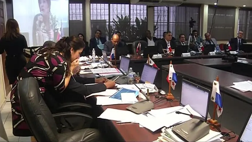 ENA sustenta presupuesto para el año 2017