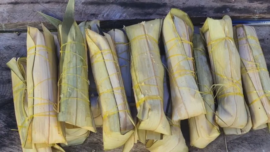 Realizan el Segundo Festival del Maíz en Guásimo, Colón