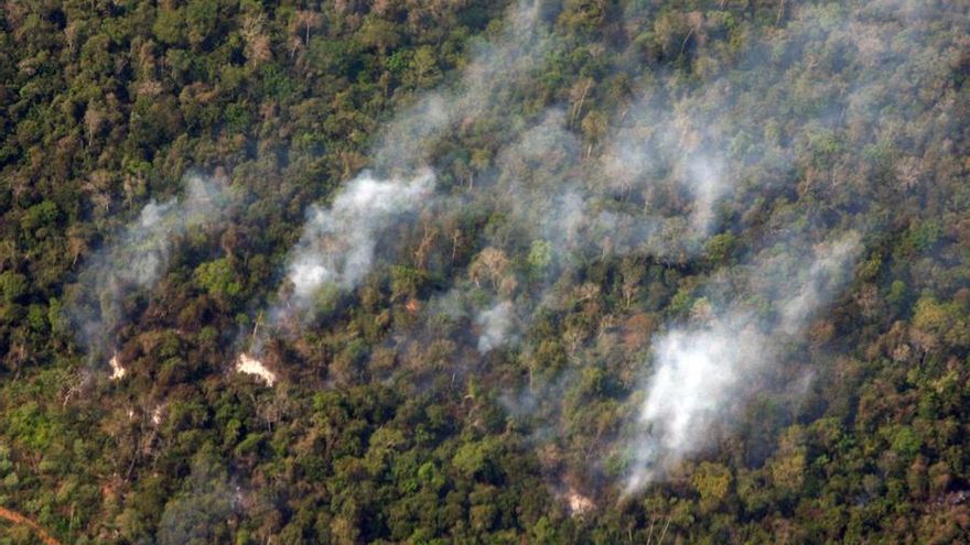 Los incendios forestales han arrasado 2,568 hectáreas en Honduras este año