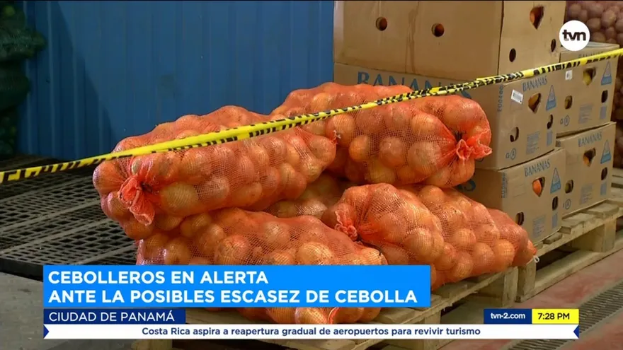 Cebolleros en alerta ante la posibles escasez de cebolla