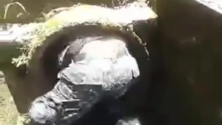 Rescatan niño atrapado en alcantarilla en La Chorrera