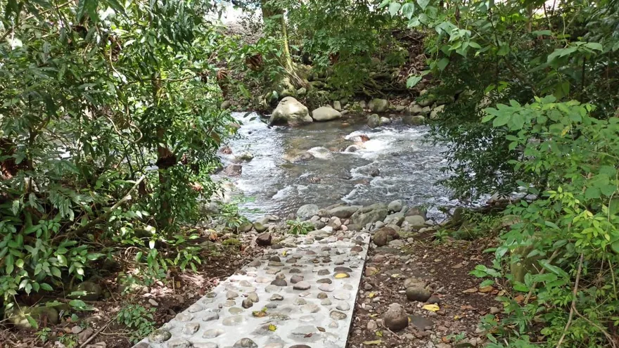 Técnicos de MiAmbiente realizaron una inspección para verificar la situación en el río Mula, distrito de Bugaba.