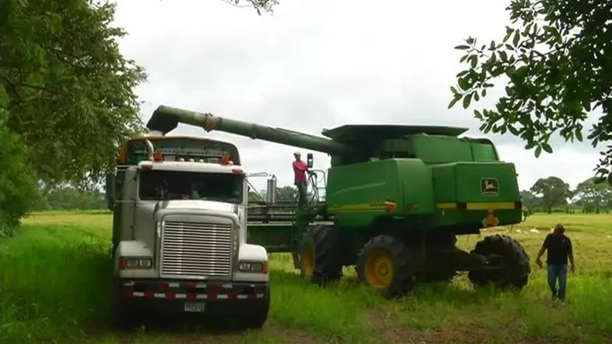 Arroceros se enfrentan con el MIDA