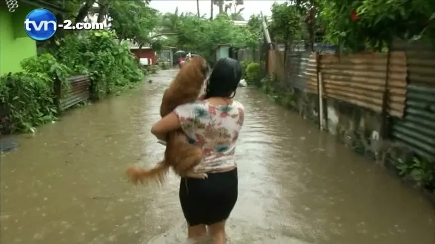 Hoy comienza semana de vacunación en San Miguelito