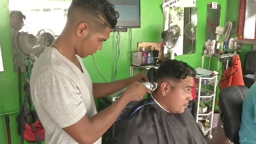 Cortes populares para un nuevo año