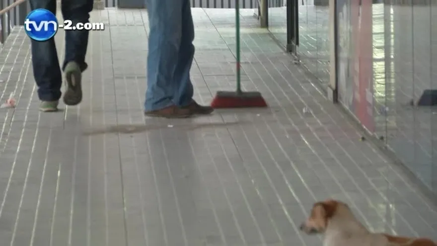 Multarán a empresas que organicen eventos y no limpien el lugar