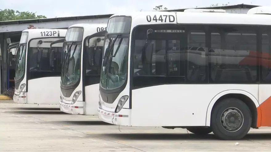 En el último año, Mi Bus ha movilizado un total de 130 millones de pasajeros.