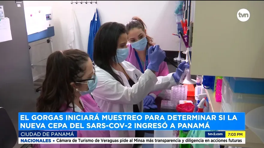 Nueva cepa del covid-19 podría haber ingresado al país