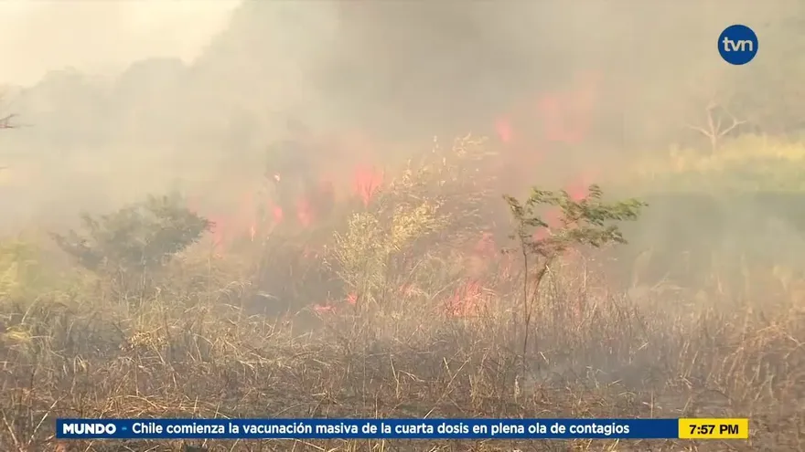 Quemas de herbazales puede complicar la salud
