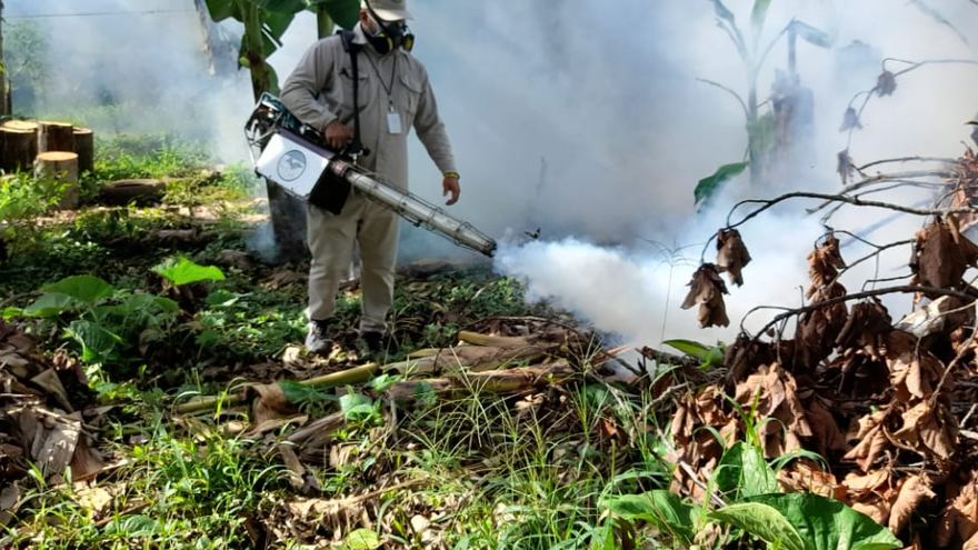 Comunidades fronterizas entre Costa Rica y Panamá en alerta por elevada infestación de dengue