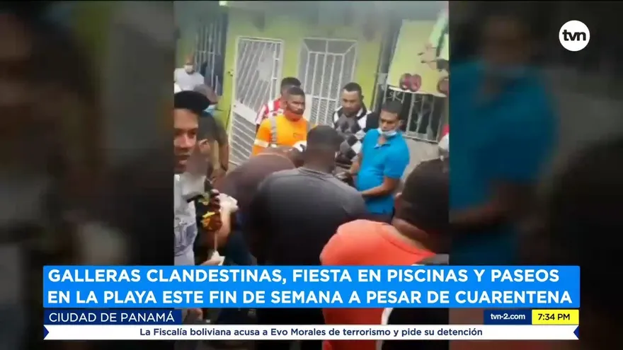 Galleras clandestinas, fiesta en piscinas y paseos en la playa este fin de semana