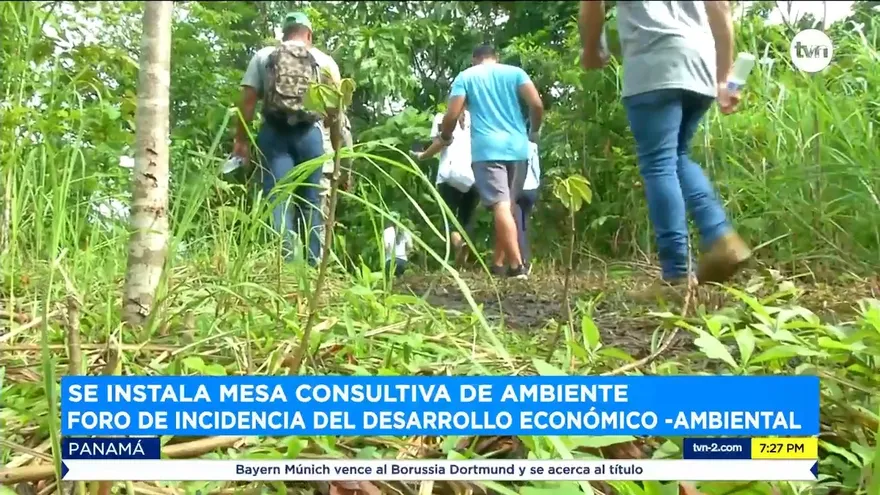 Mesa Consultiva para la Gestión Ambiental Post-COVID-19