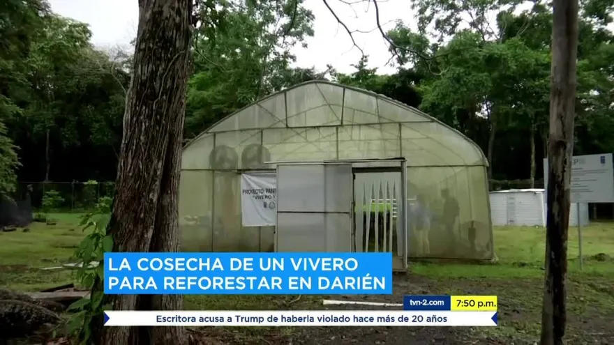 Mundo Verde: la reforestación desde las aulas