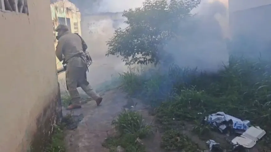 Fumigación por virus de Oropuche