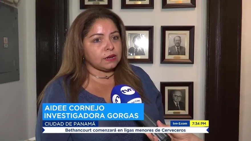 Estudio mide niveles de contaminación a través de insectos