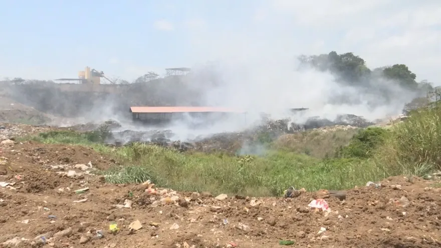 De continuar estos incendios se declararía emergencia sanitaria