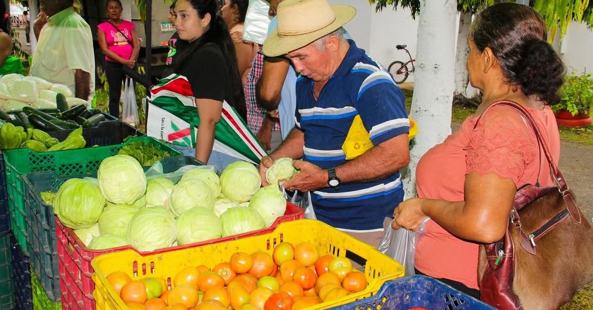 Agroferias del IMA: Conozca dónde se realizarán este martes
