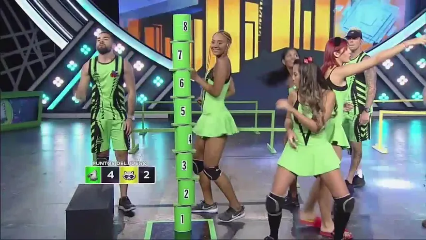 Encuentro único entre las águilas y mapaches en la zona de guerra