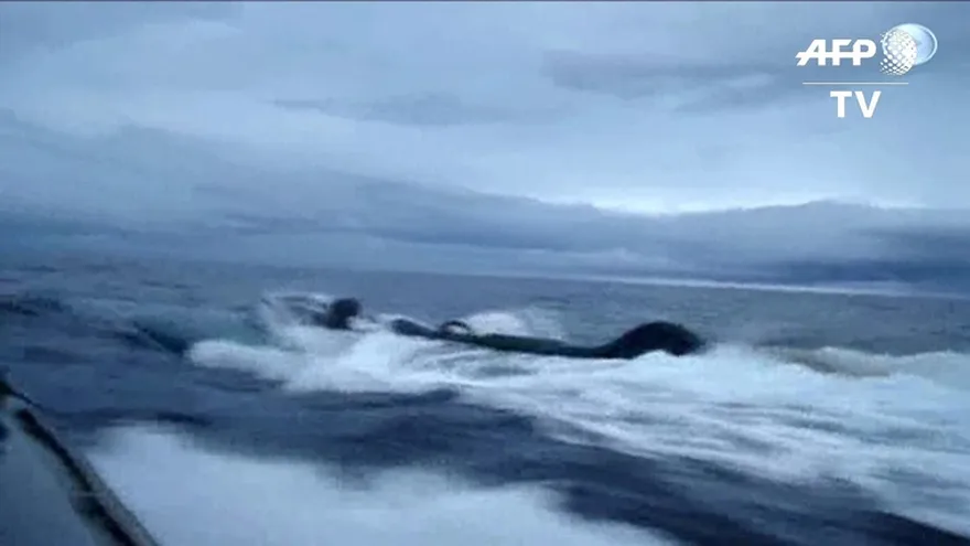 Incautan casi seis toneladas de cocaína en Pacífico ecuatoriano