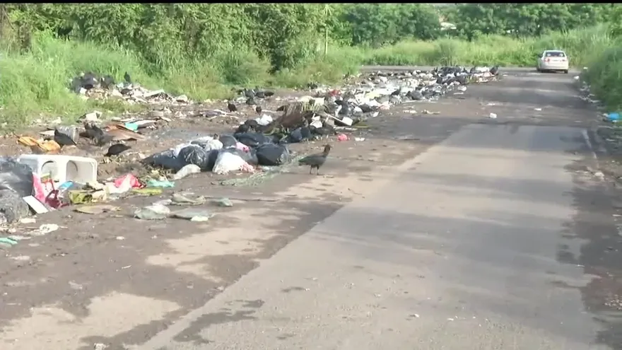 Mala recolección de basura molesta a residentes en Pacora