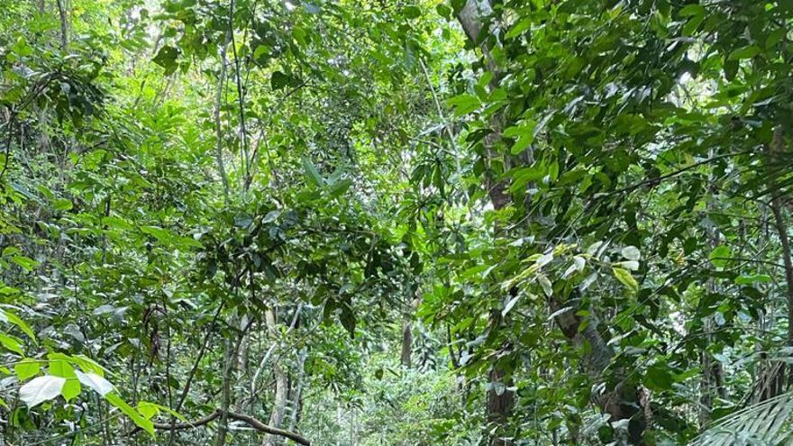 Luis Puleio se ha convertido, sin proponérselo, en el vigía de los caminos coloniales de Panamá.