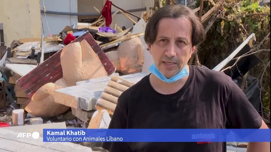 ONG reúne a personas con sus mascotas perdidas en explosión de Beirut