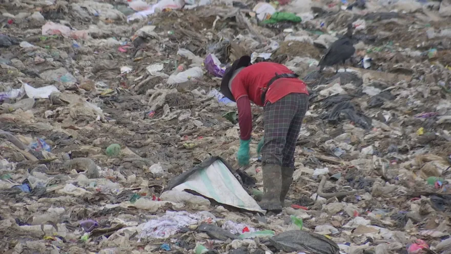 Contenido Exclusivo: Más allá de la basura