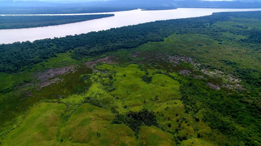 Manglares de Panamá: ecosistemas vitales protegidos por convenios internacionales