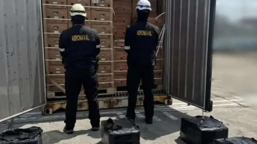 Decomisan drogas en Colón