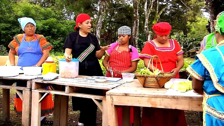 Patricia Miranda Allen - El fogón de mis amores