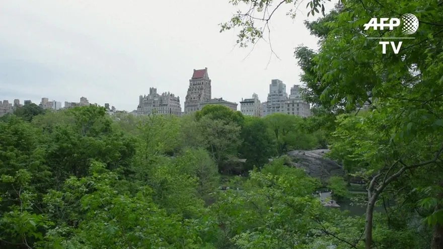 Central Park reabre un santuario secreto cerrado durante 80 años
