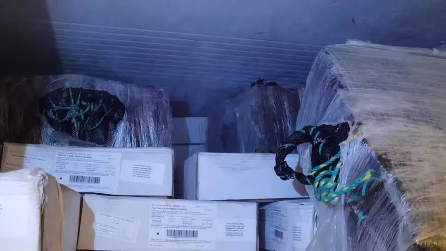 Droga estaba dentro de un contenedor.