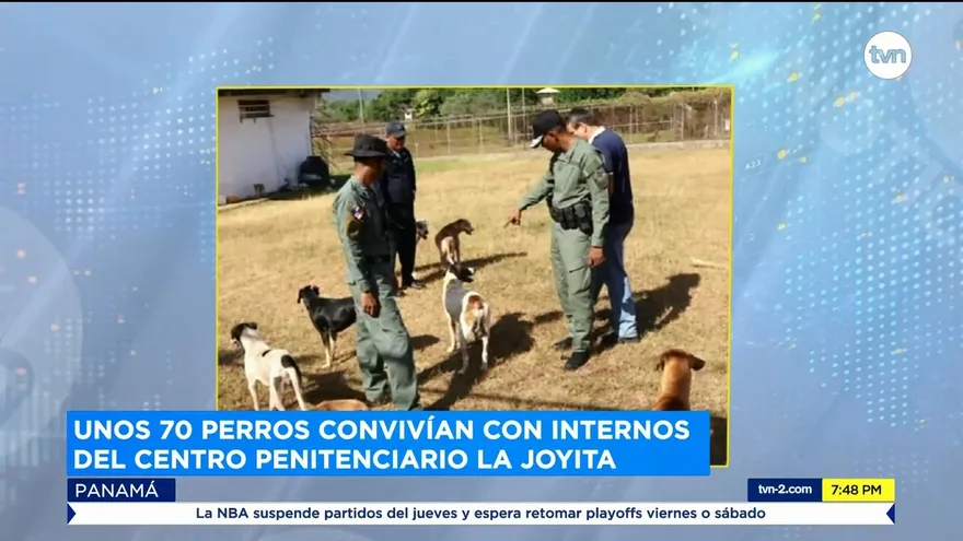 Unos 70 perros convivían con internos en La Joyita