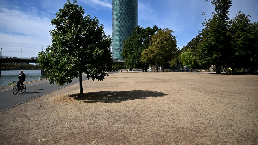 Alemania sufre la ola de calor.
