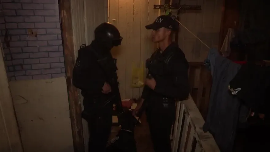 El peligro de las pandillas en Panamá