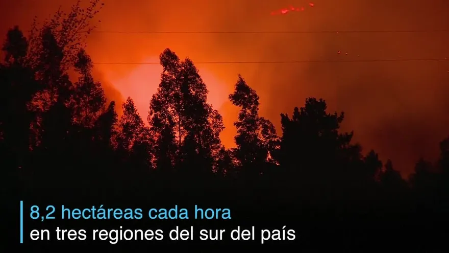 Los voraces incendios forestales de Chile