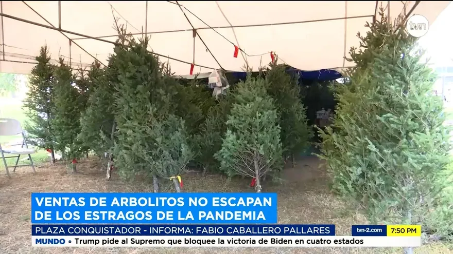 Venta de arbolitos y adornos navideños, afectados por la pandemia.