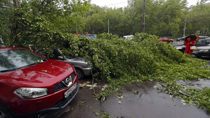 Vista de varios coches dañados tras la caída de las ramas de los árboles después de una tormenta en Moscú, Rusia