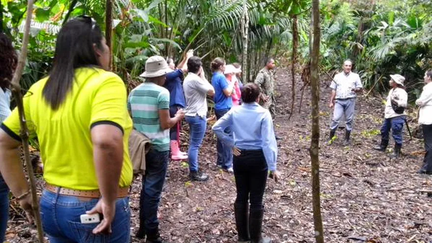 Este sábado reforestarán varios puntos del país.