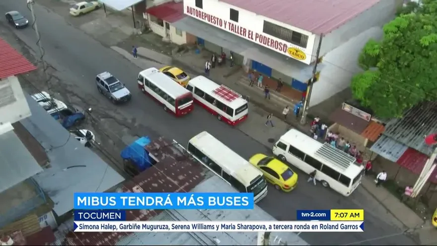 MiBus asegurá que atenderá demanda de usuarios por operativos de la ATTT a los ‘coaster’