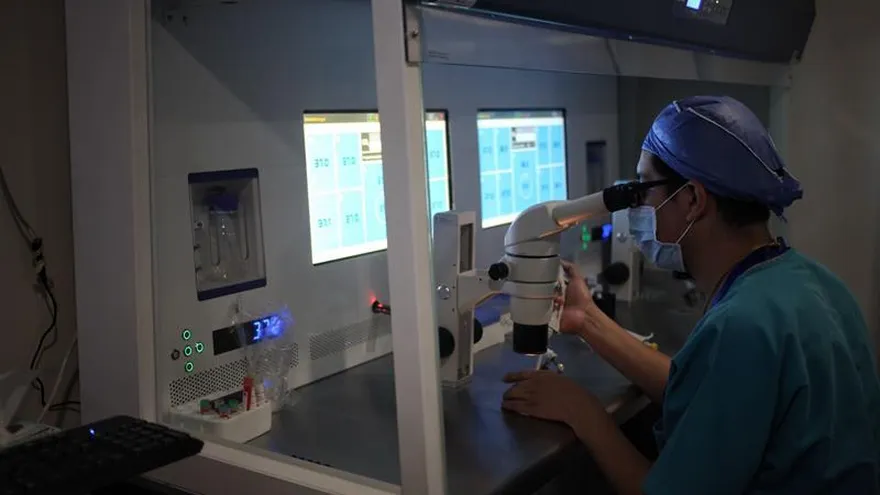 El "reloj biológico" del cuerpo humano puede ayudar a acabar con el cáncer, según un estudio publicado por la revista especializada "PLOS Biology".