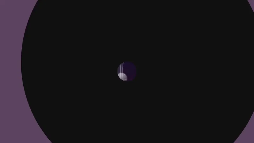 Suelta El Wichi - 28/ENE/2017