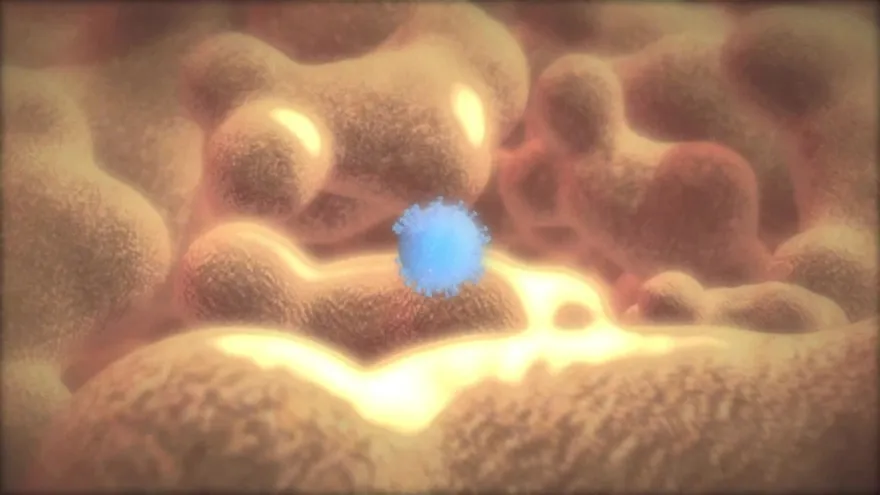 Videografía: El Sida