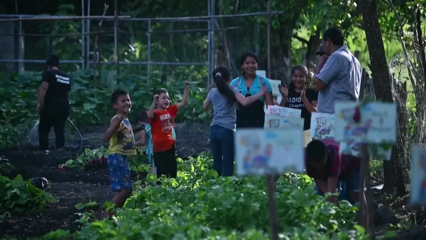 Niños cultivan huertos para sobrevivir a la pandemia en El Salvador