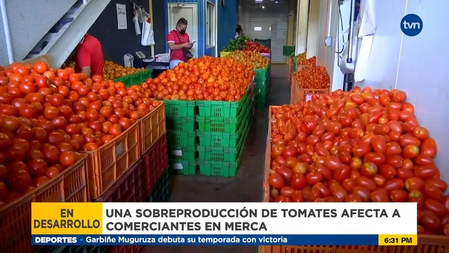 Vendedores de Merca Panamá y la sobreproducción  de tomate
