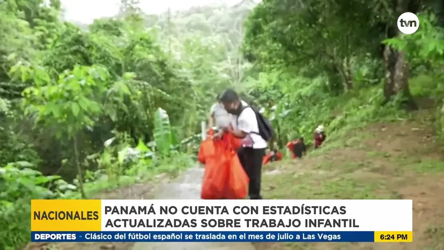 Panamá está libre de trabajo infantil en dos sectores agrícolas
