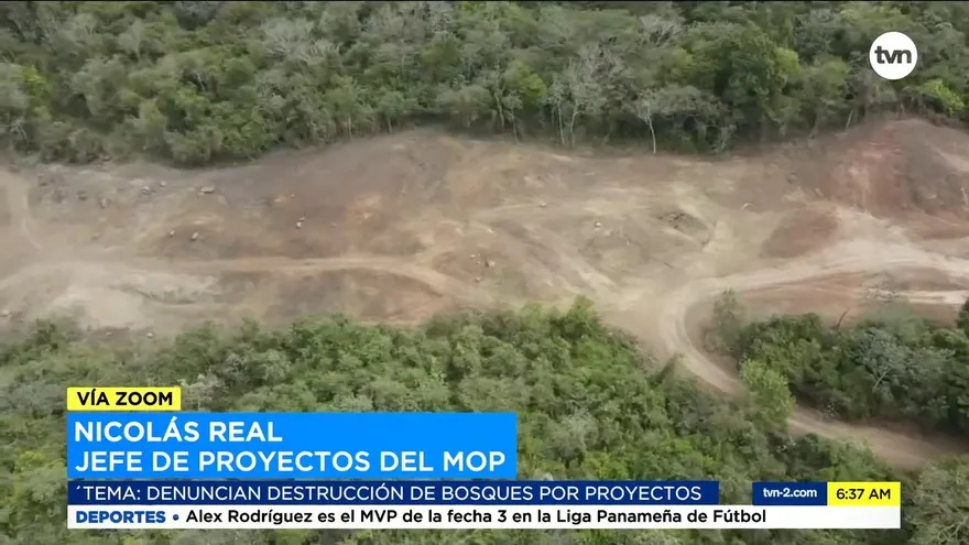 El MOP explica construcción de la Costanera tras denuncias de destrucción de áreas boscosas