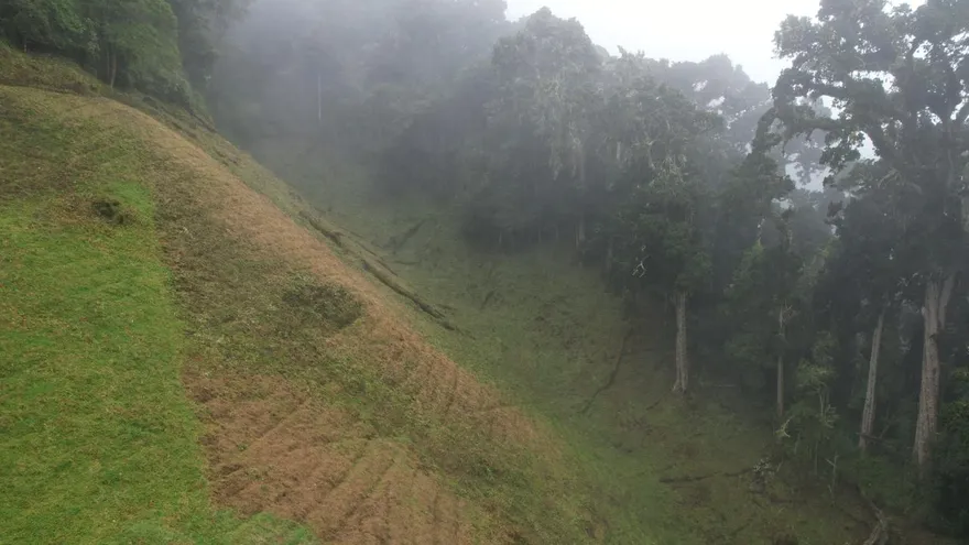 Actvidad agrícola y tala de árboles detectada dentro del Parque Nacional Volcán Barú