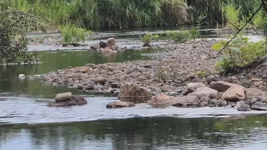 Panama's Coclé rivers remain low amid El Niño concerns