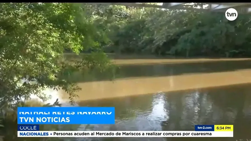 MiAmbiente realizará investigación de oficio por muerte de lagarto que atacó a un niño